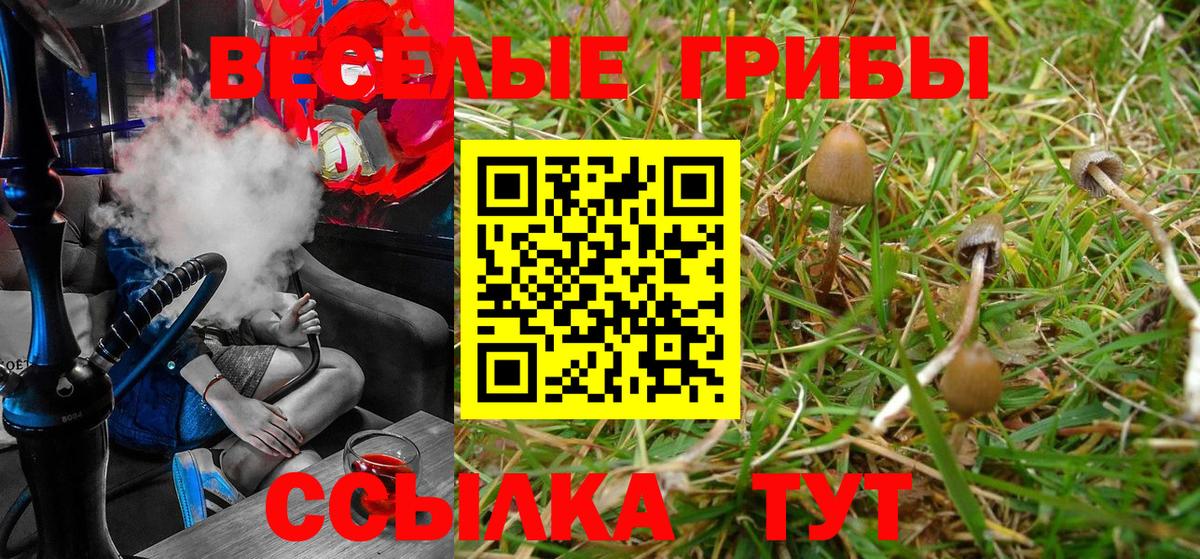 Галлюциногенные грибы Cubensis  Псилоцибиновые грибы MAGIC MUSHROOMS  где купить наркоту  Донецк  Вход с VPN 