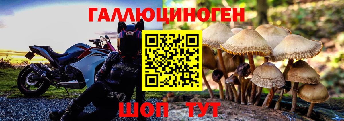 Псилоцибиновые грибы мухоморы Донецк